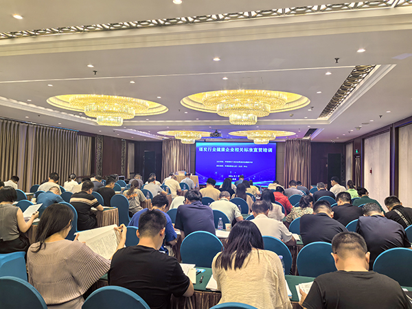 健康企業(yè)相關(guān)標準宣貫及健康企業(yè)自評師培訓現(xiàn)場.jpg
